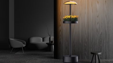 تقوم LG بتركيب أصص زراعية على مصباح لزراعة الشقق